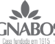 Magnabosco